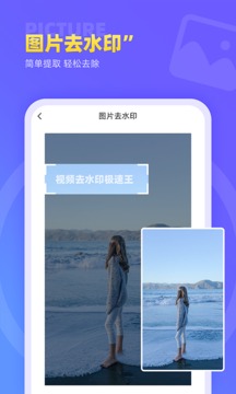 视频去水印极速王