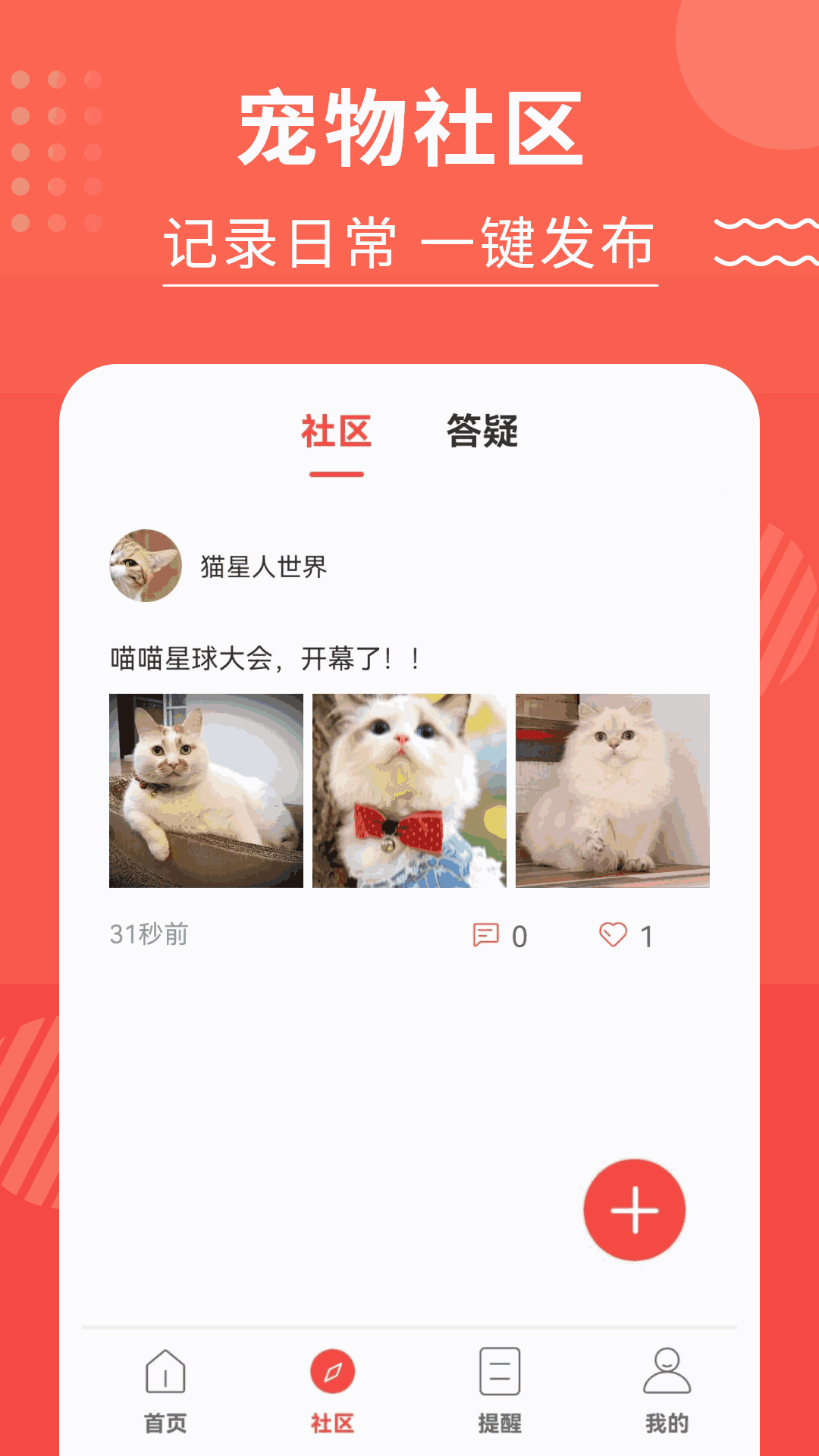 猫猫翻译器